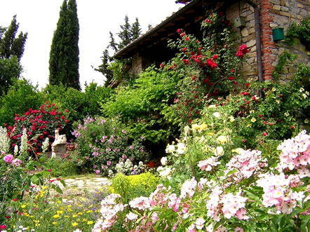 Il giardino delle rose Monte Santa Maria Tiberina